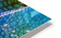Dragonfly wing HD Metal print