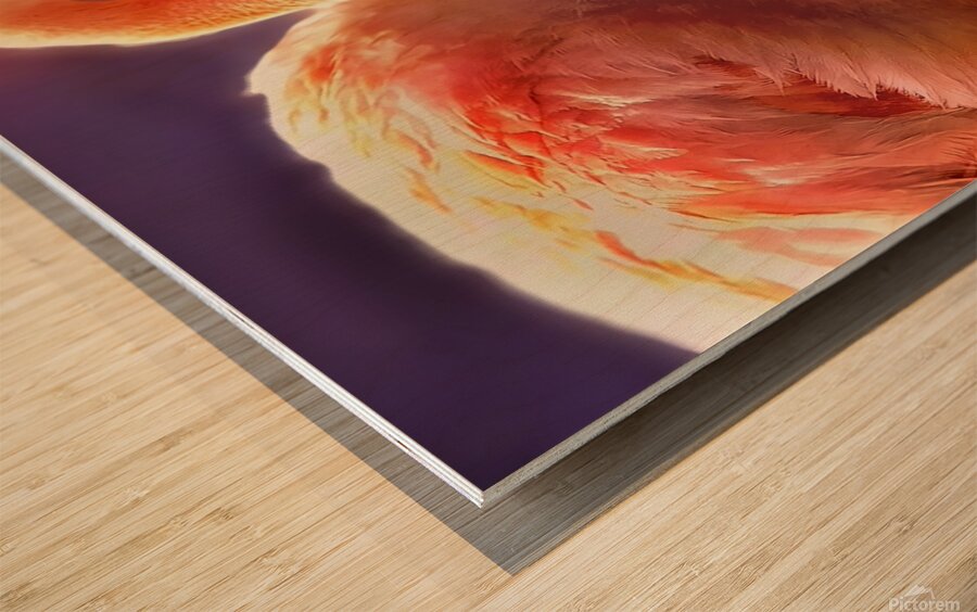 Flamingo sunset 2 Wood print