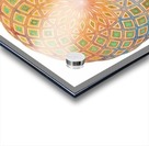 Life Geometry Acrylic print