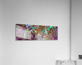 Pattern LXXVIII   II   Panoramic Acrylic Print