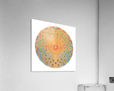 Life Geometry Acrylic Print