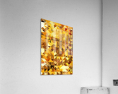 Geometric XXXXIX Acrylic Print