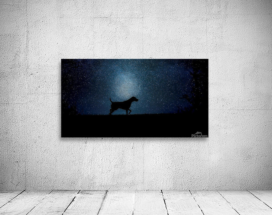 Blue Moon Rising. Wall Preview