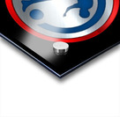 LIVEBOLA88 Acrylic print