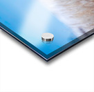 Tundra Breeze Acrylic print