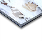 Overwatch Acrylic print