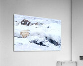 Overwatch Acrylic Print