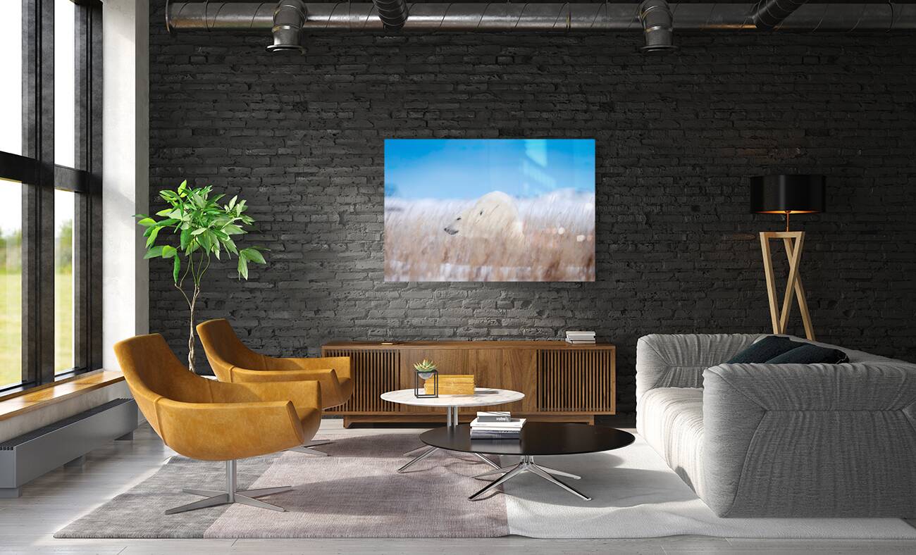 Tundra Breeze Reproduction