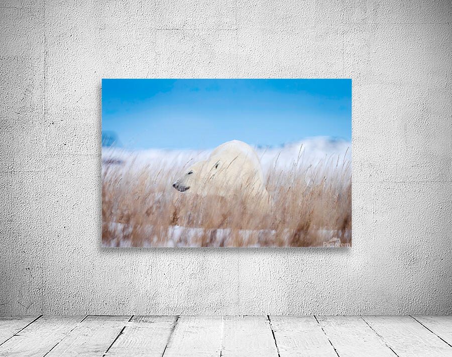 Tundra Breeze Wall Preview