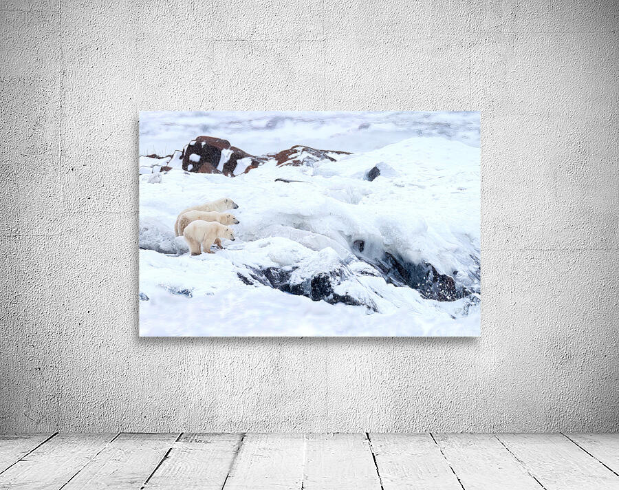 Overwatch Wall Preview