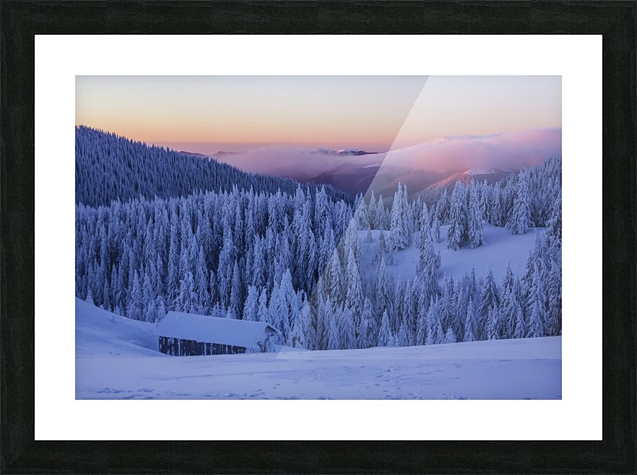 _MG_1845 2 Picture Frame print