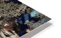 IMG 3636 HD Metal print