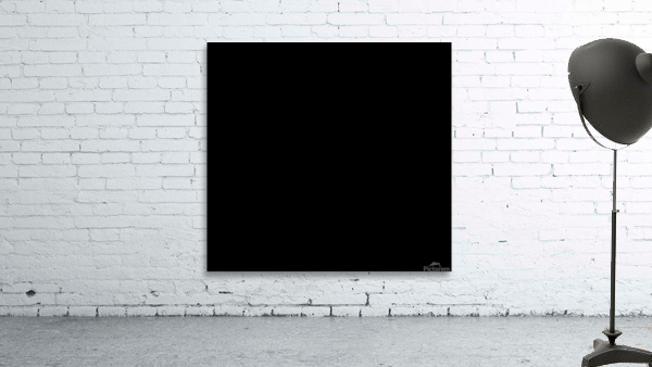 D10.1 Wall Preview