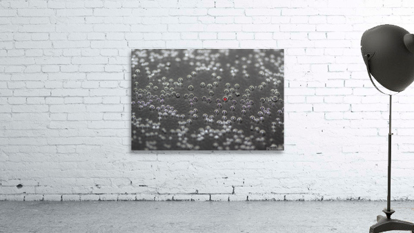 150 Bubbles and a red one Wall Preview