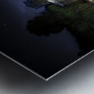 The Abandoned  Metal print