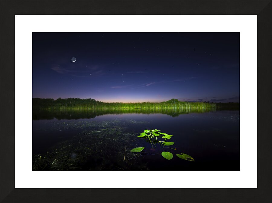 Celestial Serenade Picture Frame print