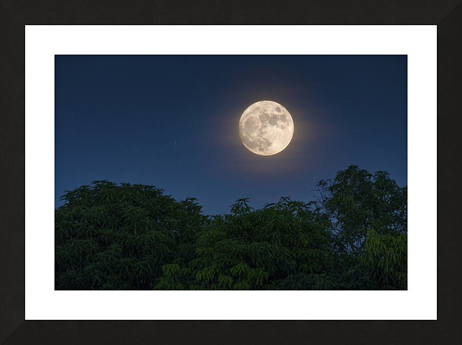 Key West Moon Picture Frame print