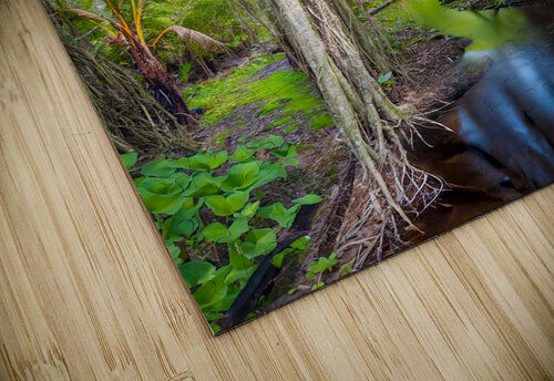 A Day at Banyan Creek Visual Voyages Fine Art puzzle