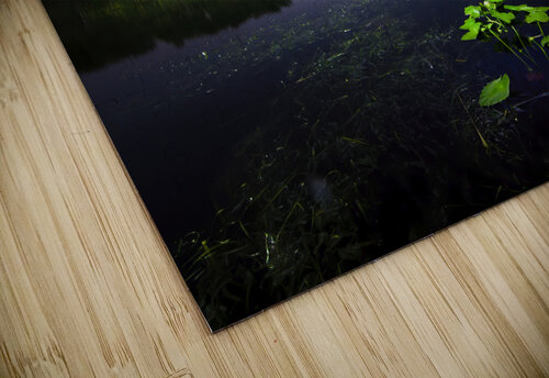 Celestial Serenade Visual Voyages Fine Art puzzle