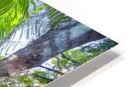 A Day at Banyan Creek HD Metal print