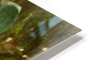 Solemn HD Metal print