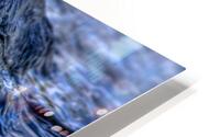 Killer Instinct HD Metal print
