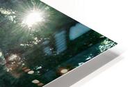 Bonaventure Angel HD Metal print