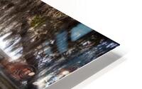 Bonaventure Cemetery HD Metal print