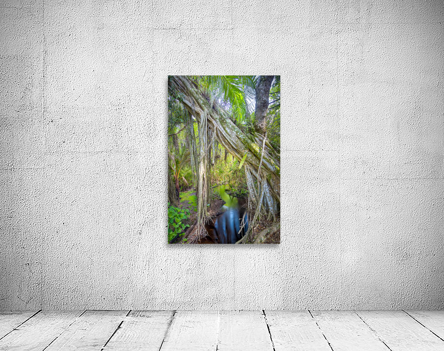 A Day at Banyan Creek Wall Preview