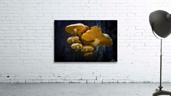The Mushroom Tree Wall Preview