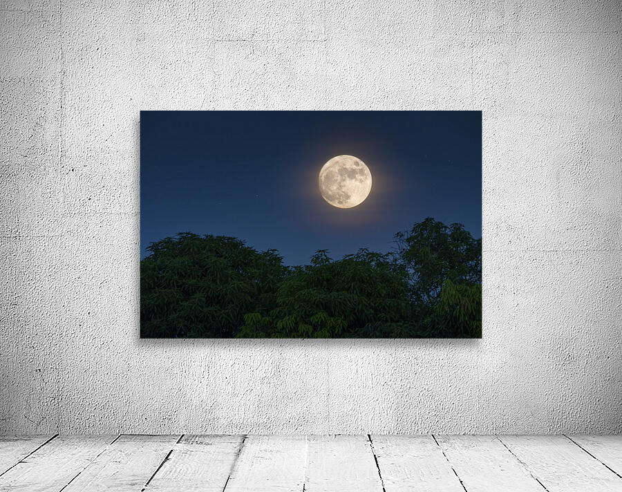 Key West Moon Wall Preview