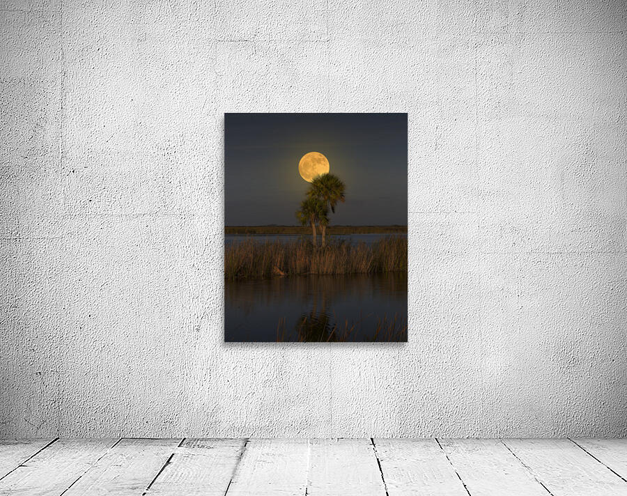 Full Moon River Wall Preview