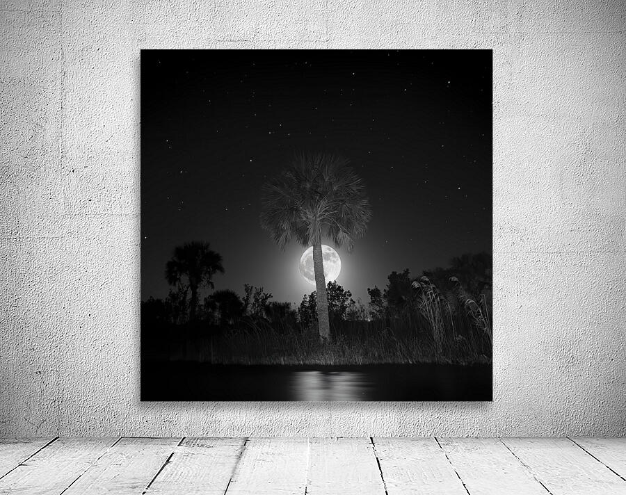 Cypress Moon Wall Preview
