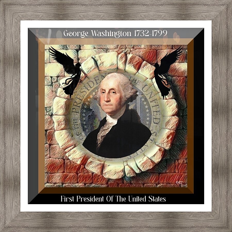 George Washington 1 Picture Frame print