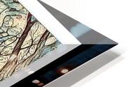 Magic Matting Integration 1 HD Metal print