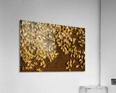 beekeeper  6 Acrylic Print