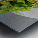 Spaghetti Carbonara Metal print