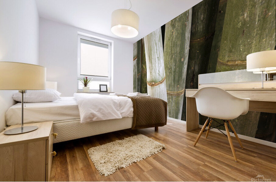 Giant Bamboo  Mural print