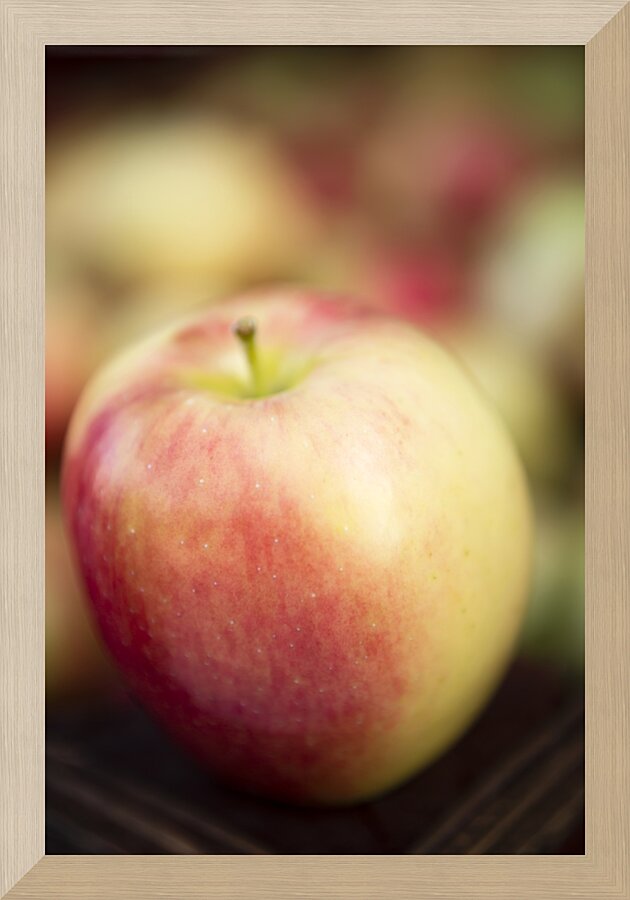 Ambrosia Apple 2 Picture Frame print