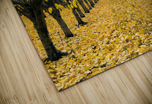 Cherry Orchard  4 Kevin Miller Photography puzzle