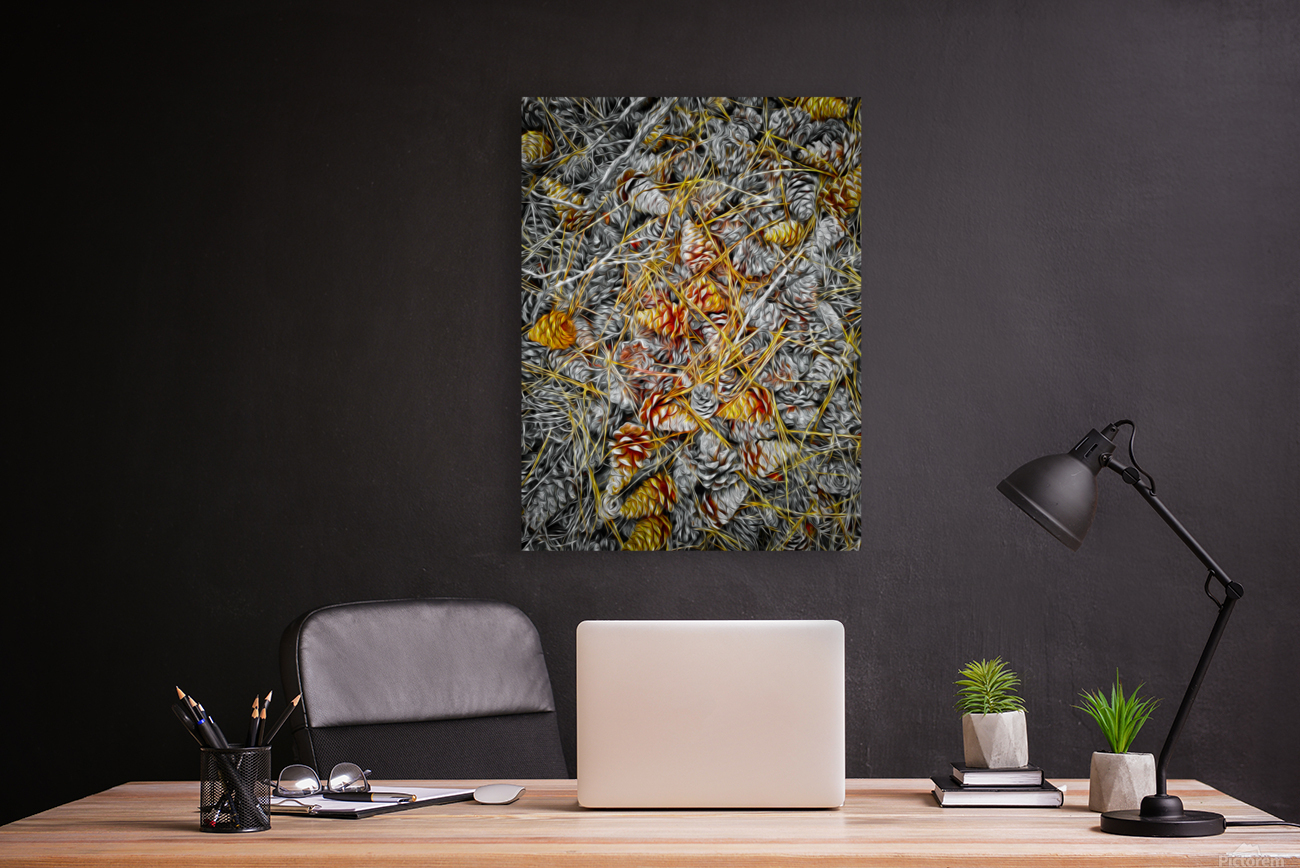 Pine Cones Forest Abstract Reproduction
