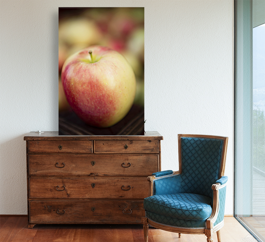 Ambrosia Apple 2 Reproduction