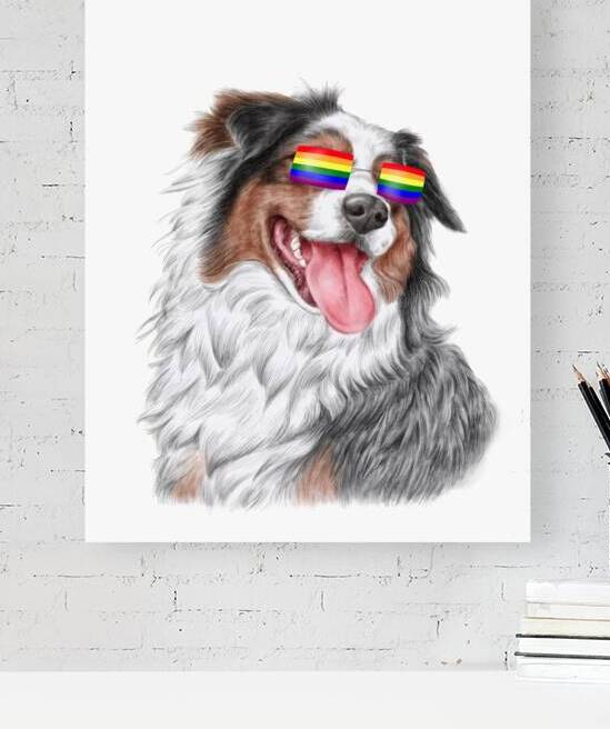 Australian Shepherd wears gay rainbow sunglasses by Kevin Miller Photography