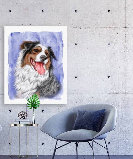 Blue Merle Australian Shepherd by Kevin Miller Photography