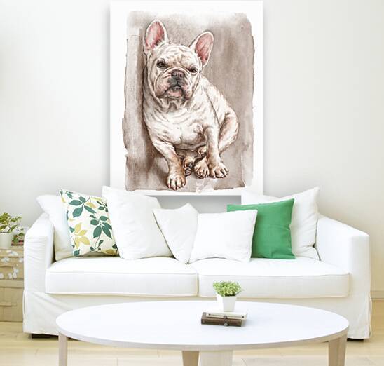 Cute adorable white French Bulldog by Kevin Miller Photography