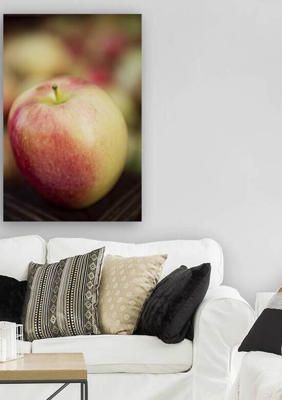 Organic Ambrosia Apple Okanagan Valley by Kevin Miller Photography