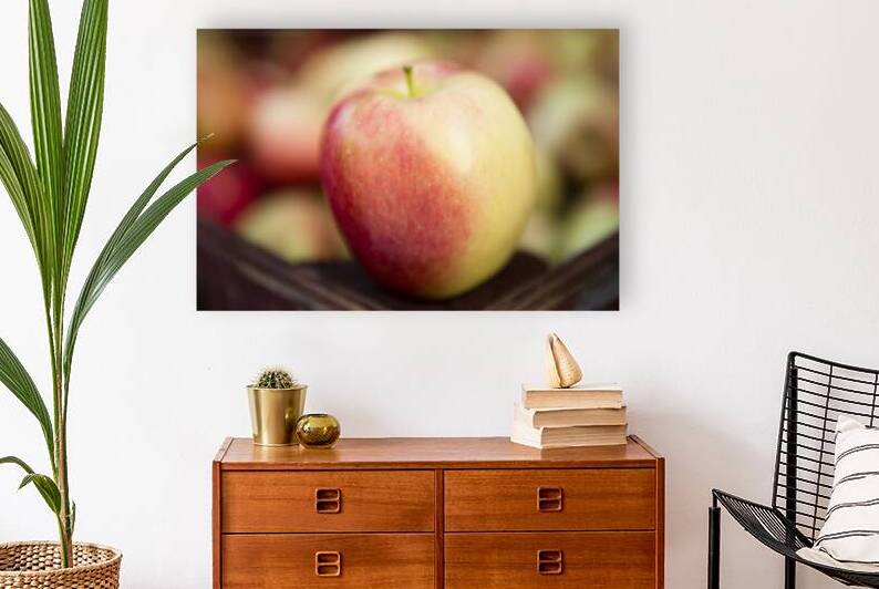 Organic Ambrosia Apple Okanagan Valley by Kevin Miller Photography