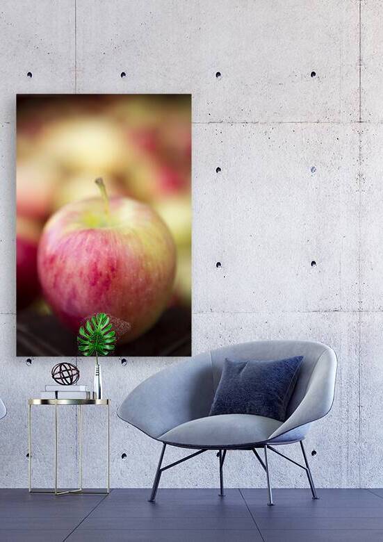Organic Ambrosia Apple Okanagan Valley by Kevin Miller Photography
