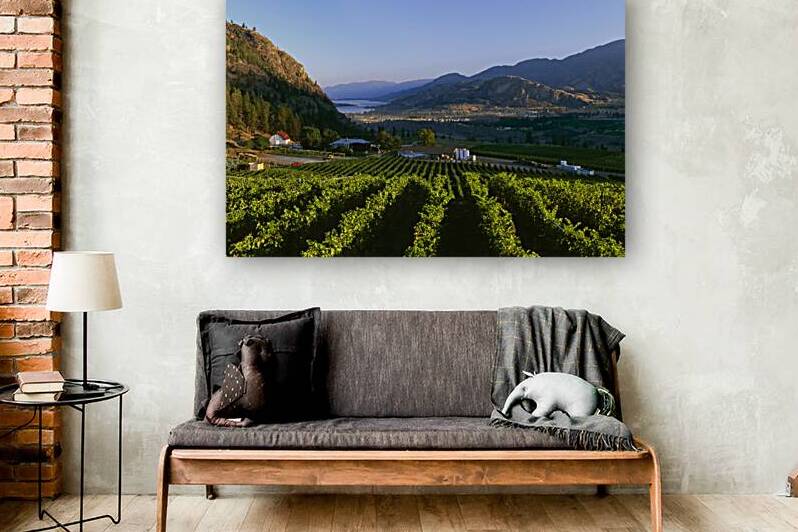Okanagan Falls Winery Vineyard Sunrise Okanagan Valley by Kevin Miller Photography
