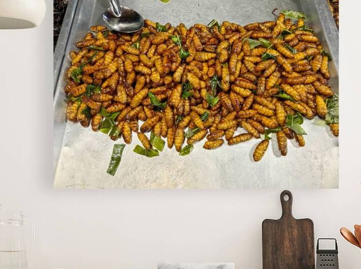 Thai Street Food Bugs Thailand Asian Market by Kevin Miller Photography